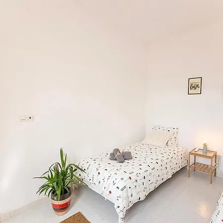 Atico In Center Apartment