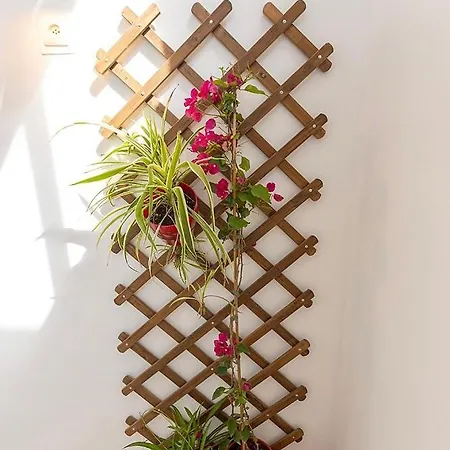 Atico In Center Apartment *